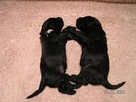 Click on the photo for the original