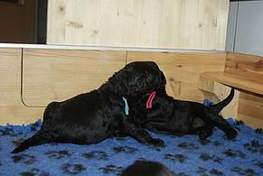 Click on the photo for the original