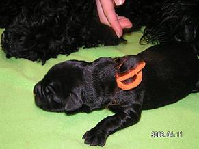 Click on the photo for the original