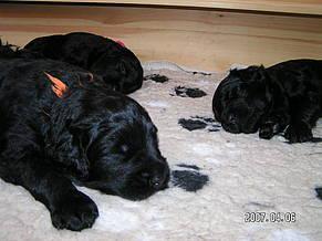 Click on the photo for the original