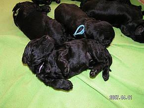 Click on the photo for the original