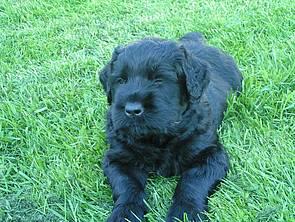 Click on the photo for the original