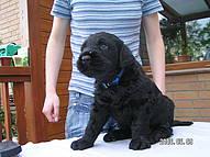 Click on the photo for the original