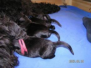 Click on the photo for the original