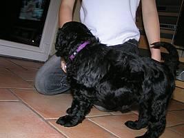 Click on the photo for the original