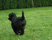 Click on the photo for the original