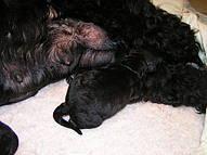 Click on the photo for the original