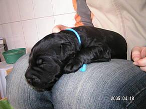 Click on the photo for the original