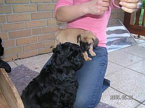 Click on the photo for the original