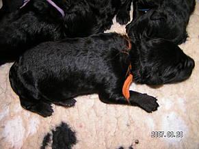 Click on the photo for the original