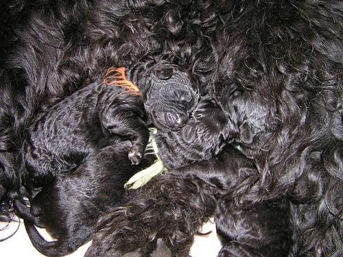 Click on the photo for the original