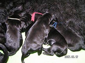 Click on the photo for the original