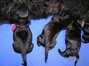 Click on the photo for the original