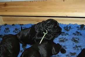 Click on the photo for the original