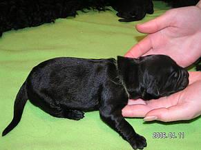 Click on the photo for the original