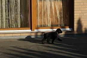 Click on the photo for the original