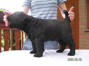 Click on the photo for the original