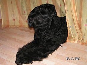 Click on the photo for the original