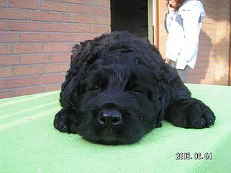 Click on the photo for the original