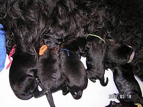 Click on the photo for the original