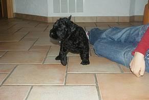 Click on the photo for the original