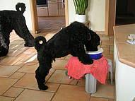 Click on the photo for the original