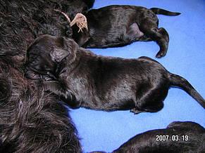 Click on the photo for the original