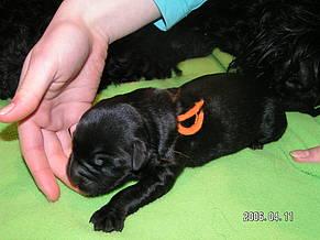 Click on the photo for the original