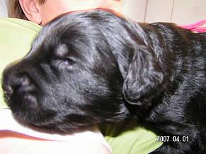 Click on the photo for the original