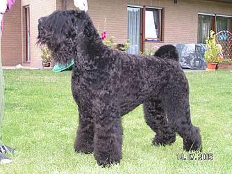 Click on the photo for the original