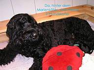 Click on the photo for the original