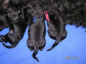 Click on the photo for the original