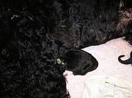 Click on the photo for the original