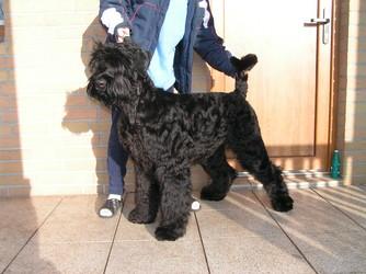 Click on the photo for the original