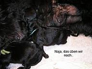 Click on the photo for the original