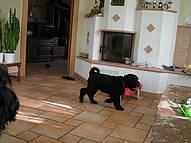 Click on the photo for the original