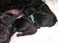 Click on the photo for the original