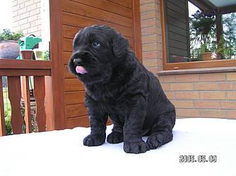 Click on the photo for the original